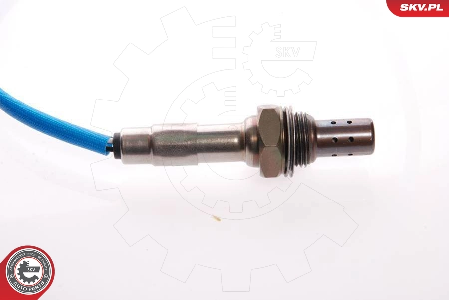 Oxygen Sensor